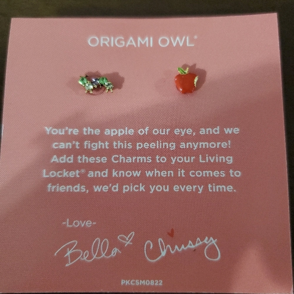 3/$25 - RETIRED Origami Owl Collectors Club Charms - Teacher